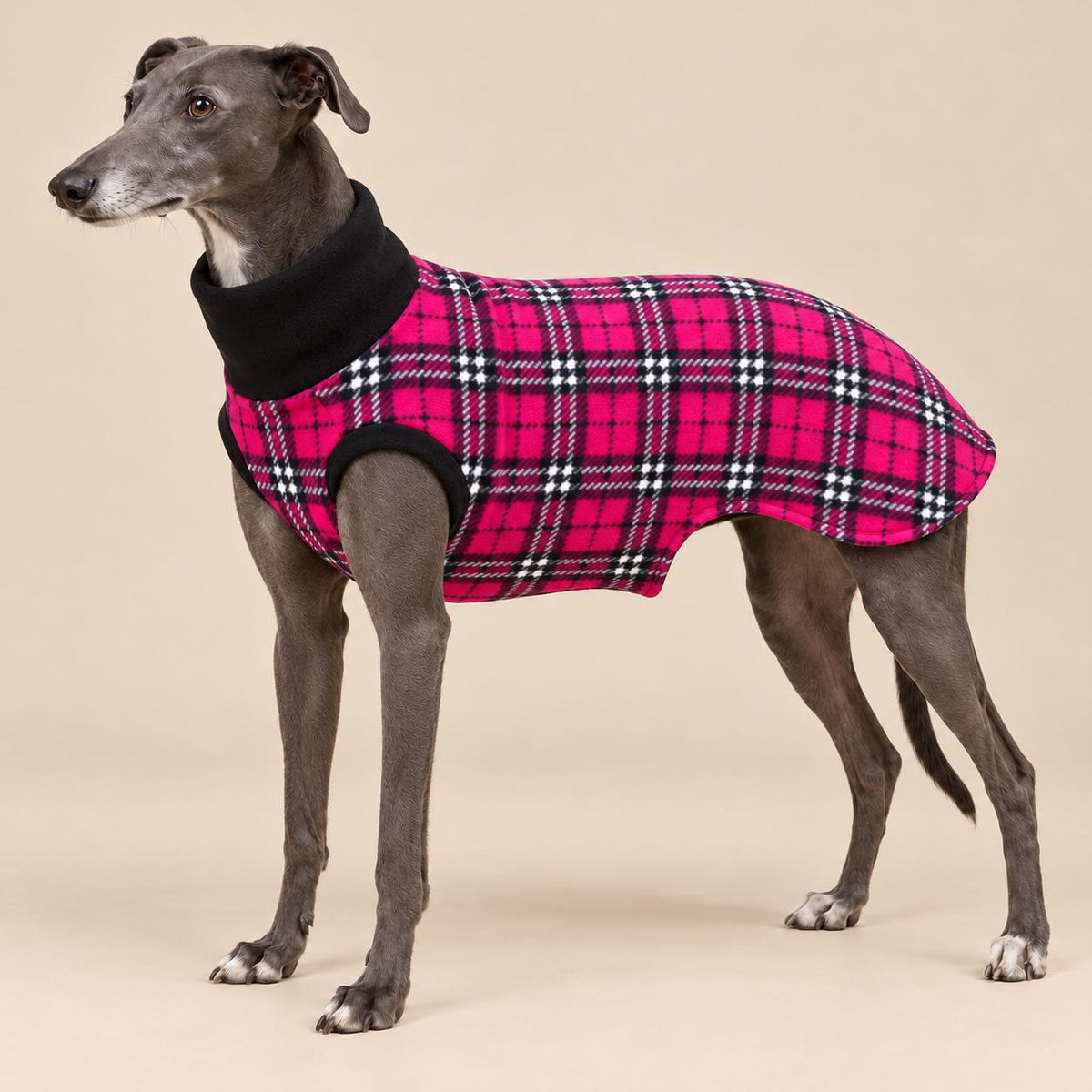 English Greyhound Fleece Jumper, Turtle Neck Dog Pyjamas, Greyhound Winter Top, Soft Fleece Greyhound Clothes