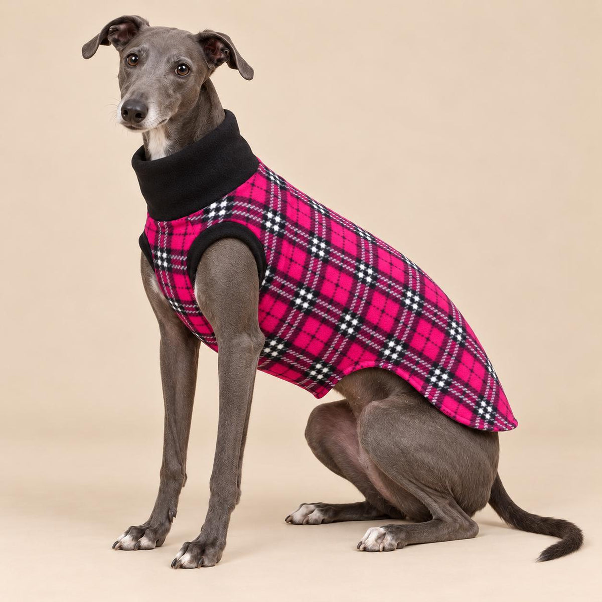 English Greyhound Fleece Jumper, Turtle Neck Dog Pyjamas, Greyhound Winter Top, Soft Fleece Greyhound Clothes