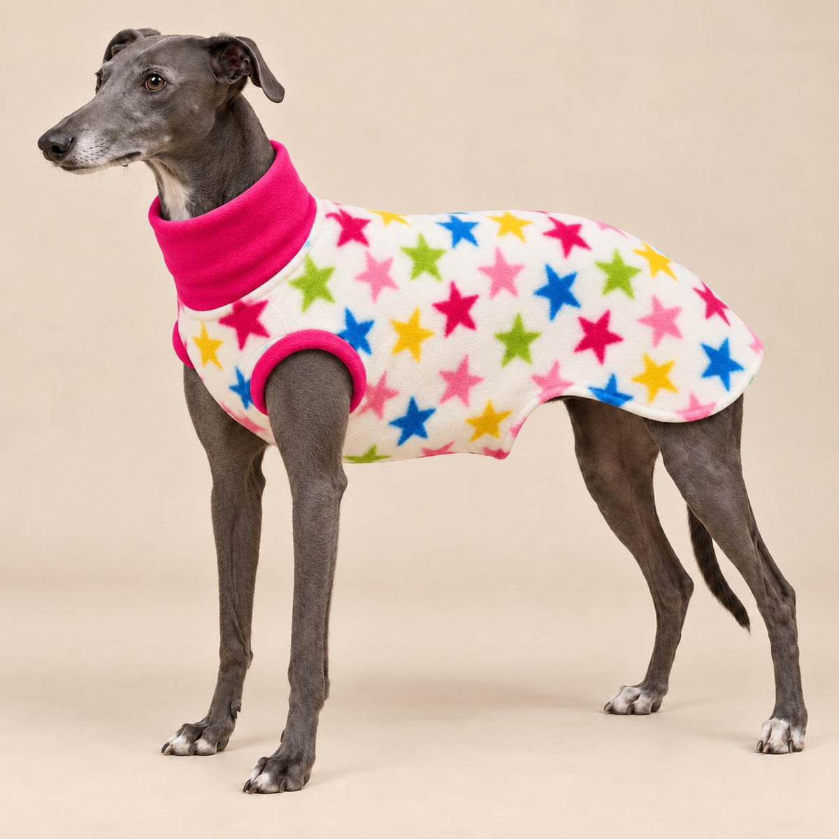 English Greyhound Fleece Jumper, Turtle Neck Dog Pyjamas, Greyhound Winter Top, Soft Fleece Greyhound Clothes