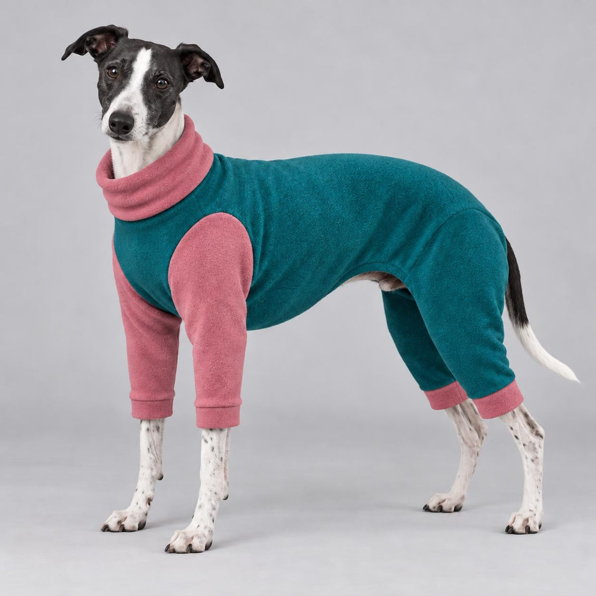 Whippet Fleece Jumpsuit Dog Pyjamas, Warm Onesie for Sighthounds, Whippet Winter Suit, Soft Dog Romper