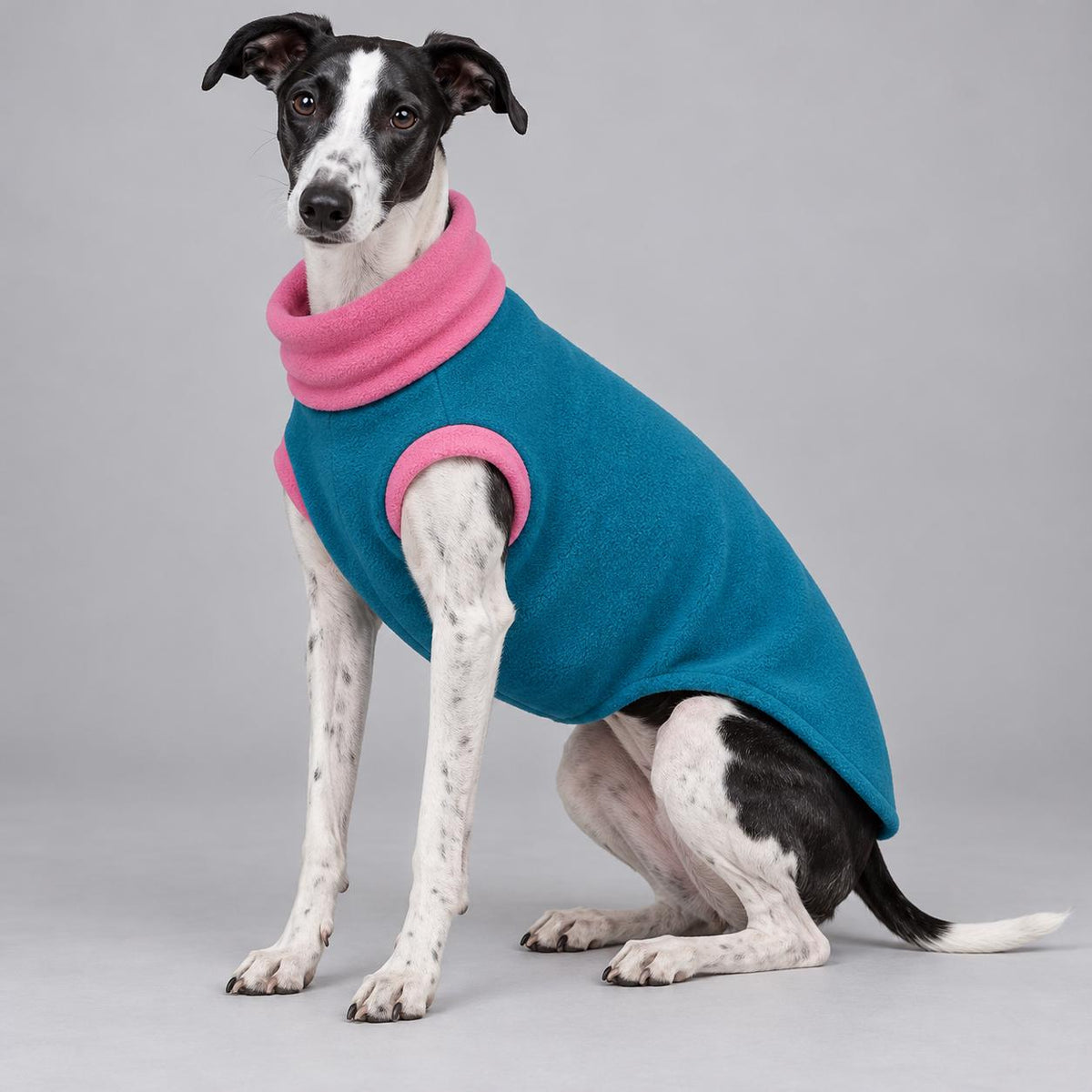 Whippet Fleece Jumper, Sleeveless Dog Coat with Turtle Neck, Two Tone Anti Pill Fleece, Handmade Dog Clothing