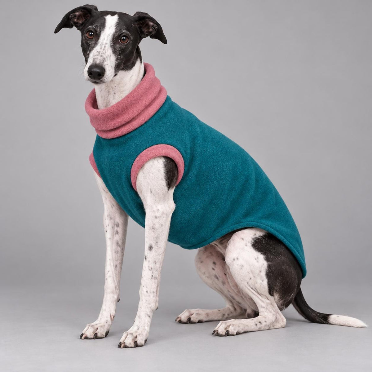 Whippet Fleece Jumper, Sleeveless Dog Coat with Turtle Neck, Two Tone Anti Pill Fleece, Handmade Dog Clothing