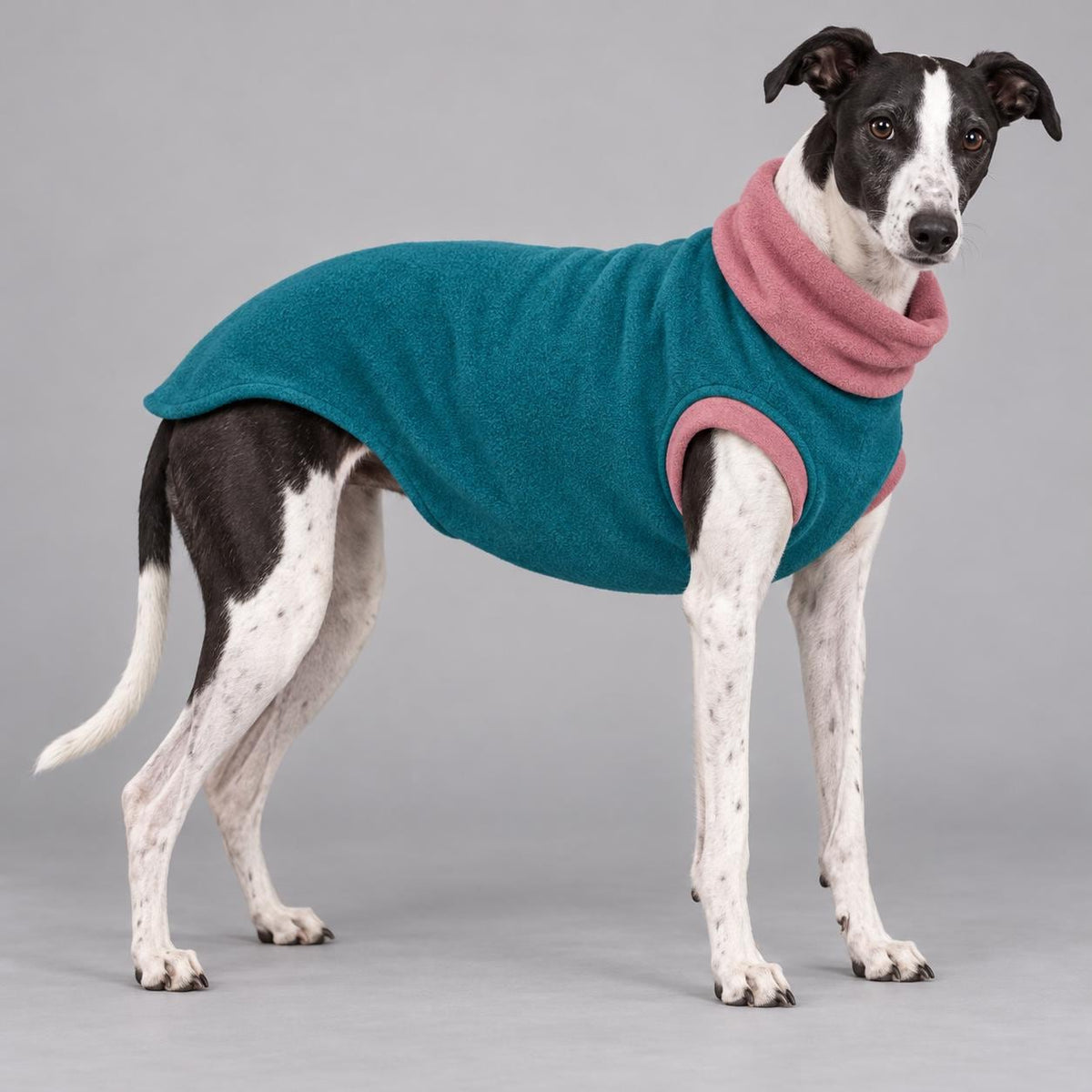 Whippet Fleece Jumper, Sleeveless Dog Coat with Turtle Neck, Two Tone Anti Pill Fleece, Handmade Dog Clothing