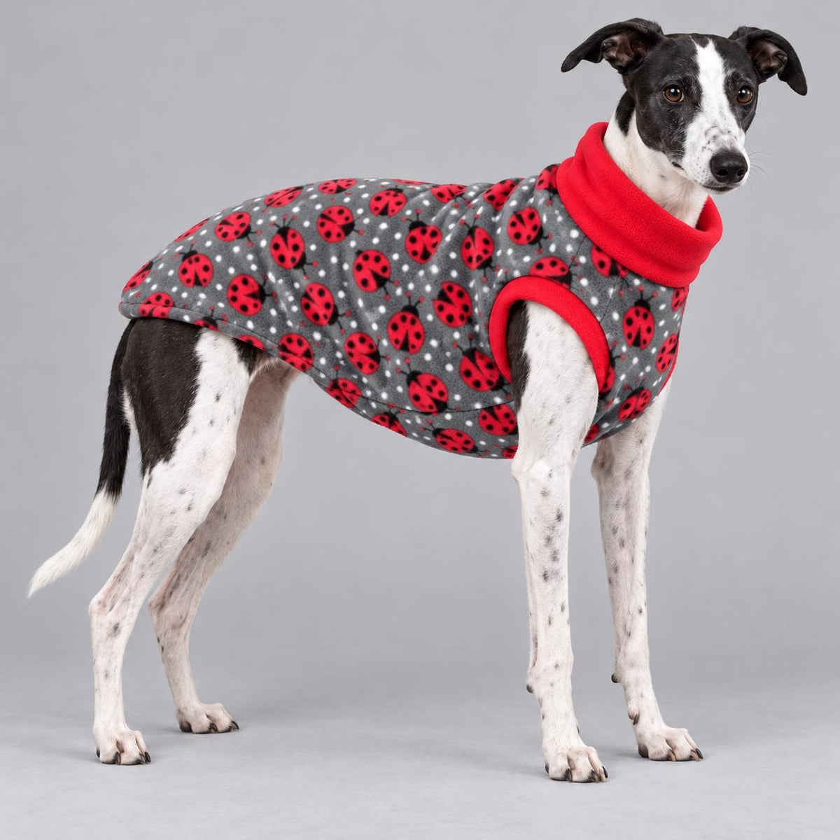 Whippet Fleece Jumper, Sleeveless Dog Coat with Turtle Neck, Two Tone Anti Pill Fleece, Handmade Dog Clothing