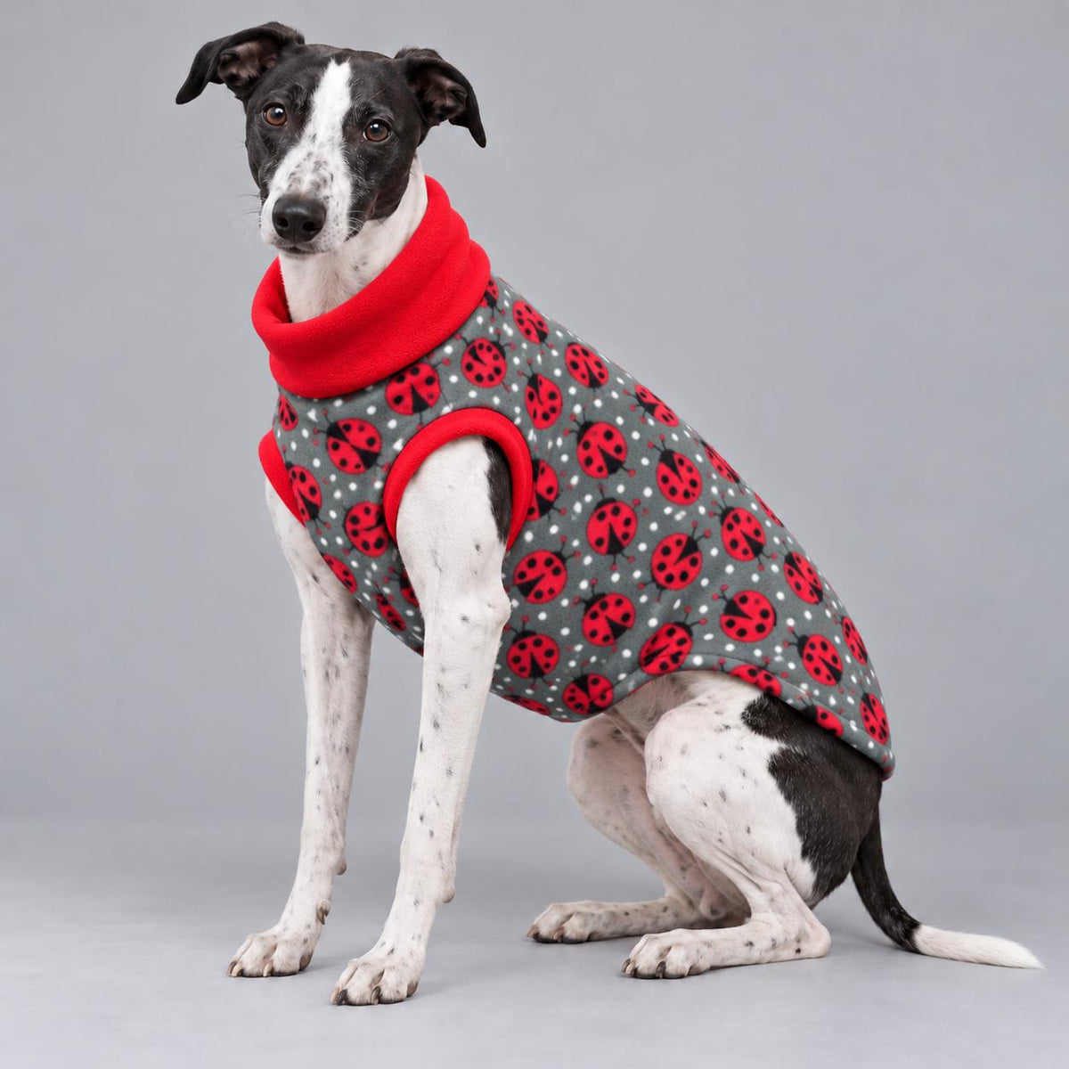 Whippet Fleece Jumper, Sleeveless Dog Coat with Turtle Neck, Two Tone Anti Pill Fleece, Handmade Dog Clothing