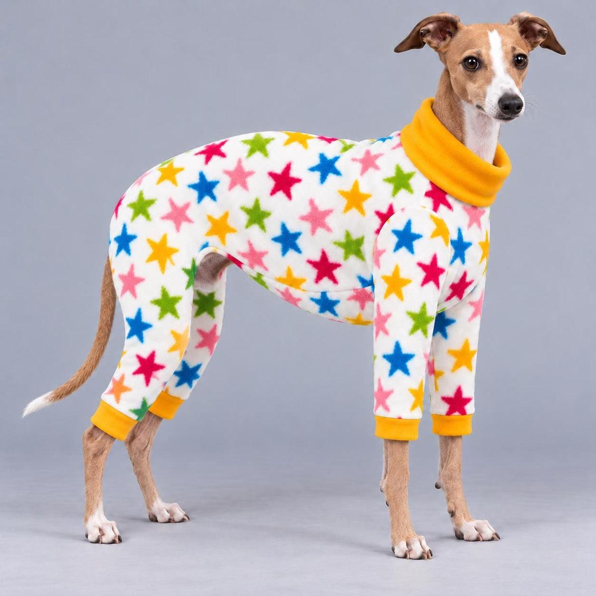Italian Greyhound Fleece Onesie, Four-Leg Dog Pyjamas with Roll Neck, Warm Iggy Winter Clothes, Handmade Sighthound Jumper