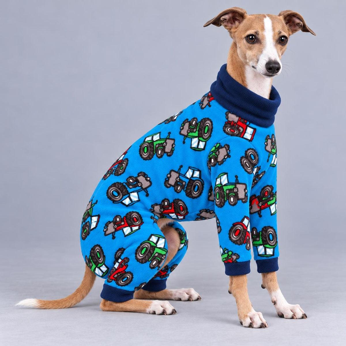 Italian Greyhound Fleece Onesie, Four-Leg Dog Pyjamas with Roll Neck, Warm Iggy Winter Clothes, Handmade Sighthound Jumper
