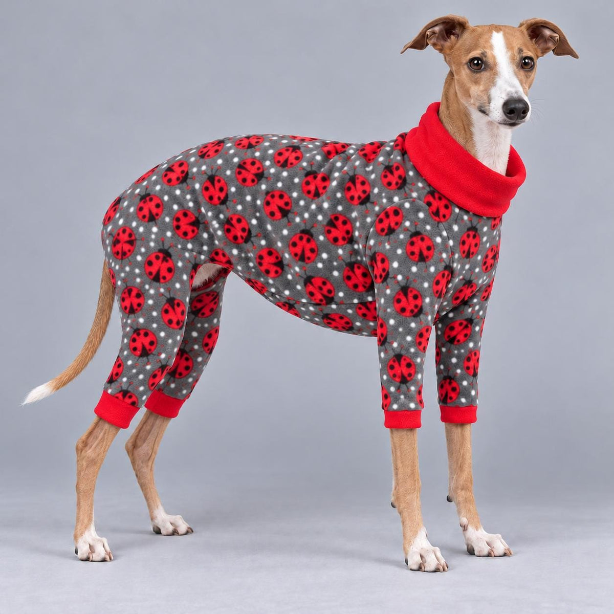 Italian Greyhound Fleece Onesie, Four-Leg Dog Pyjamas with Roll Neck, Warm Iggy Winter Clothes, Handmade Sighthound Jumper