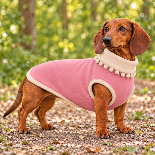 Handmade Two Tone Fleece Jumper with Pom Pom Trim For Sausage Dog, Warm Dachshund Coat, Small to Large Dog Clothing
