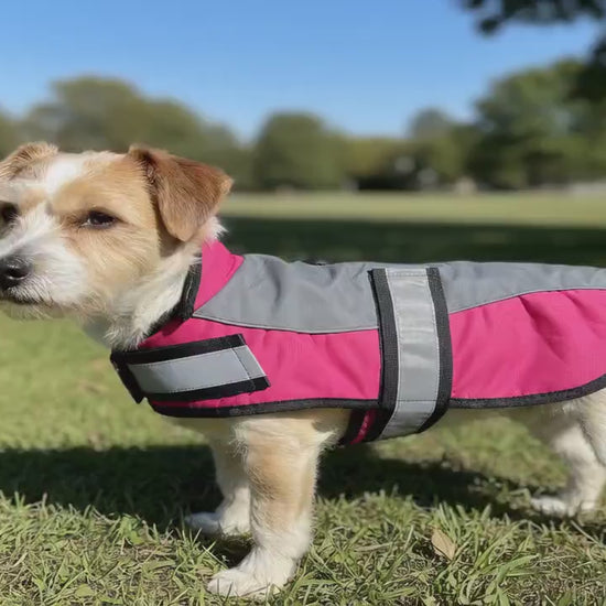 Adventure Bound Waterproof Ripstop Dog Jacket with Harness Access & Reflective Straps Safety Velcro Fastening For Fur Friend