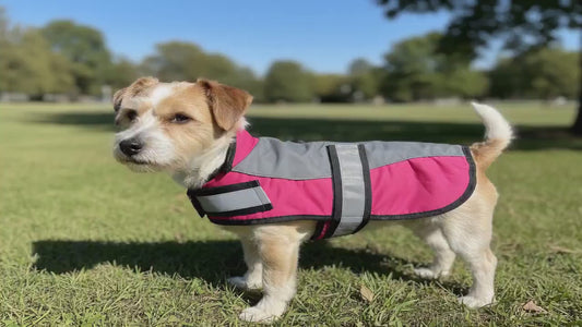 Adventure Bound Waterproof Ripstop Dog Jacket with Harness Access & Reflective Straps Safety Velcro Fastening For Fur Friend
