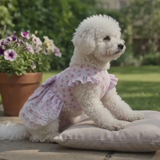 Floral Ruffle Dog Dress with Lace Layers and Bow For Fur Friend